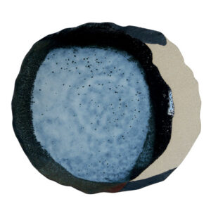 Foam White Organic Shape Plate
